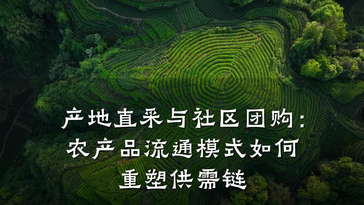 产地直采与社区团购:农产品流通模式如何重塑供需链