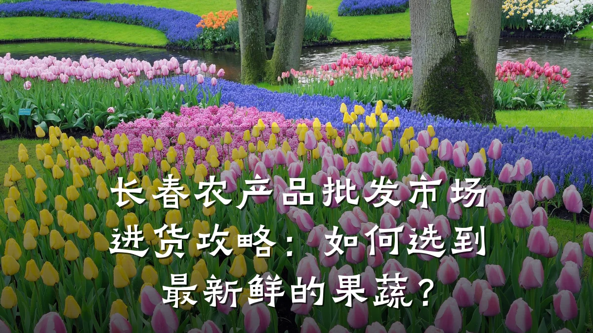 长春农产品批发市场进货攻略:如何选到最新鲜的果蔬?