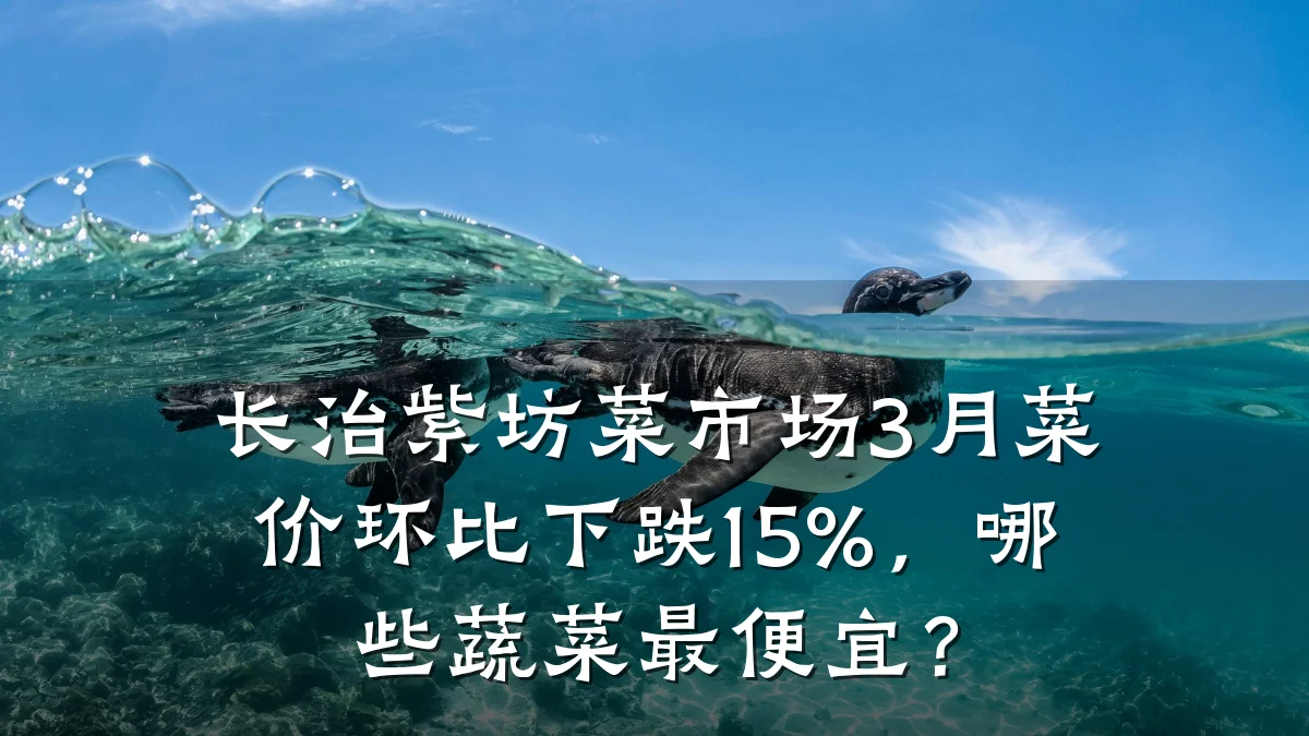 长治紫坊菜市场3月菜价环比下跌15%，哪些蔬菜最便宜？