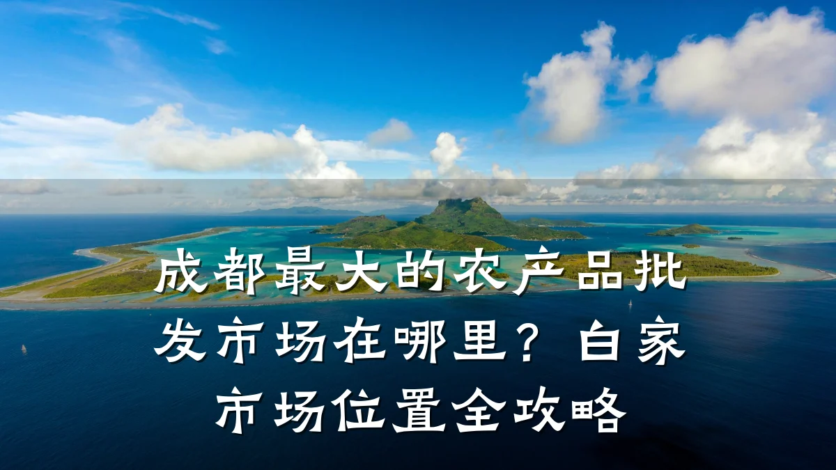 成都最大的农产品批发市场在哪里?白家市场位置全攻略