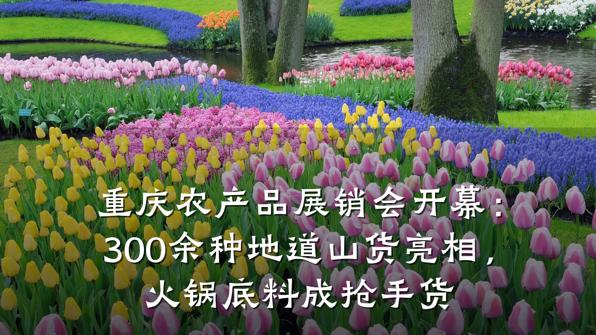 重庆农产品展销会开幕:300余种地道山货亮相,火锅底料成抢手货