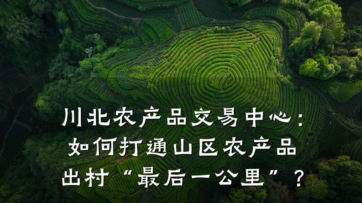 川北农产品交易中心:如何打通山区农产品出村“最后一公里”?