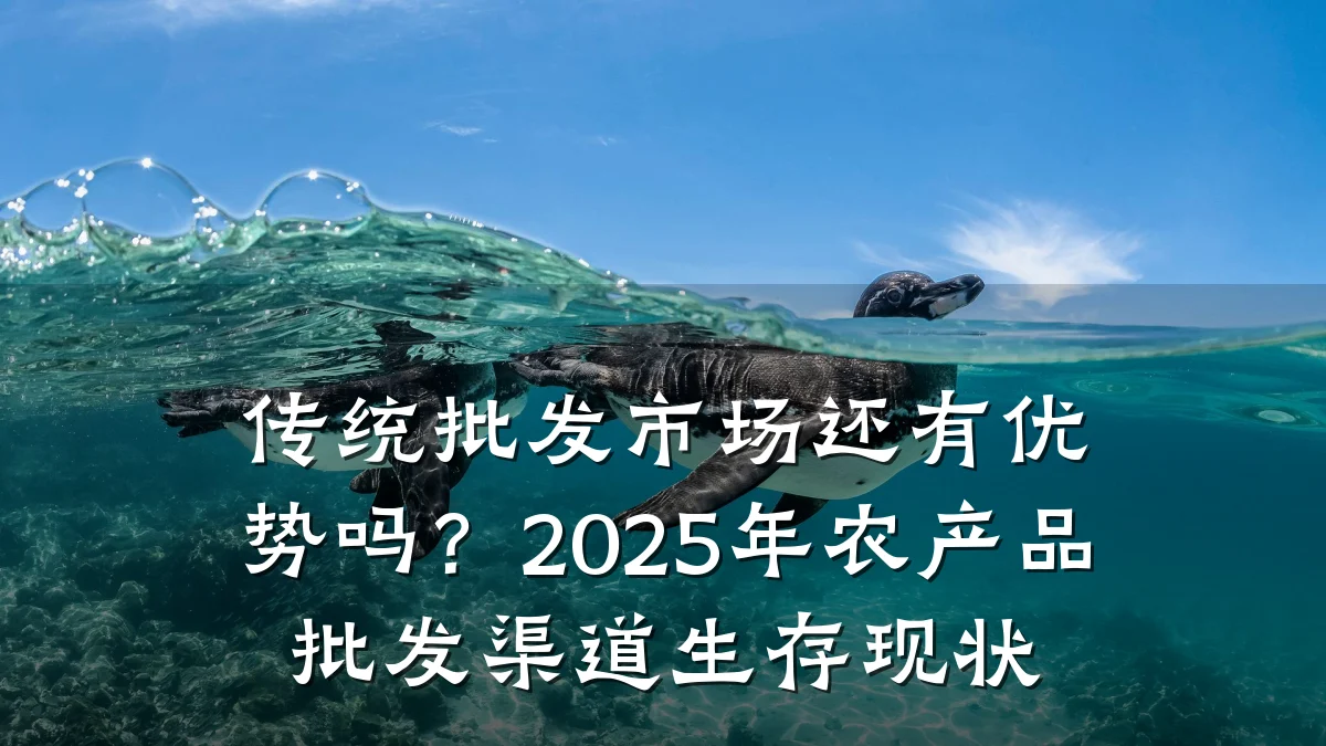 传统批发市场还有优势吗?2025年农产品批发渠道生存现状