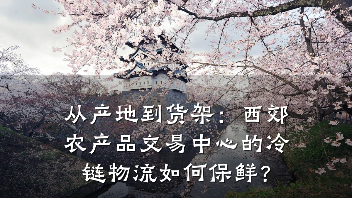 从产地到货架:西郊农产品交易中心的冷链物流如何保鲜?