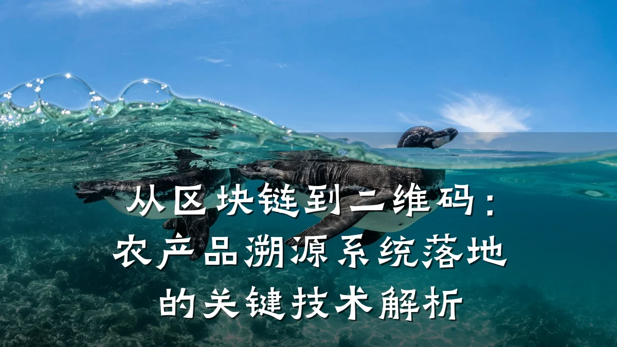 从区块链到二维码:农产品溯源系统落地的关键技术解析