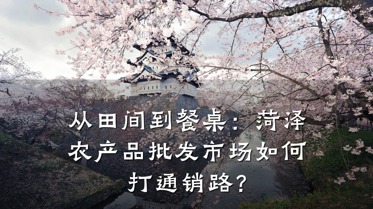从田间到餐桌:菏泽农产品批发市场如何打通销路?