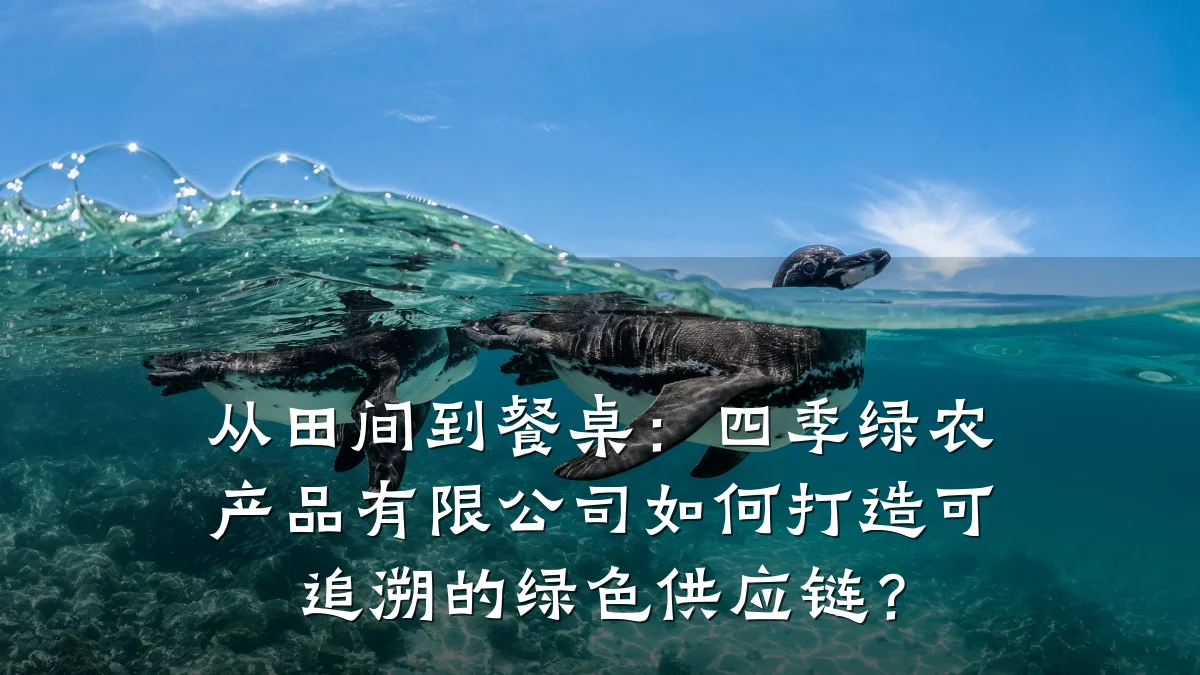 从田间到餐桌:四季绿农产品有限公司如何打造可追溯的绿色供应链?