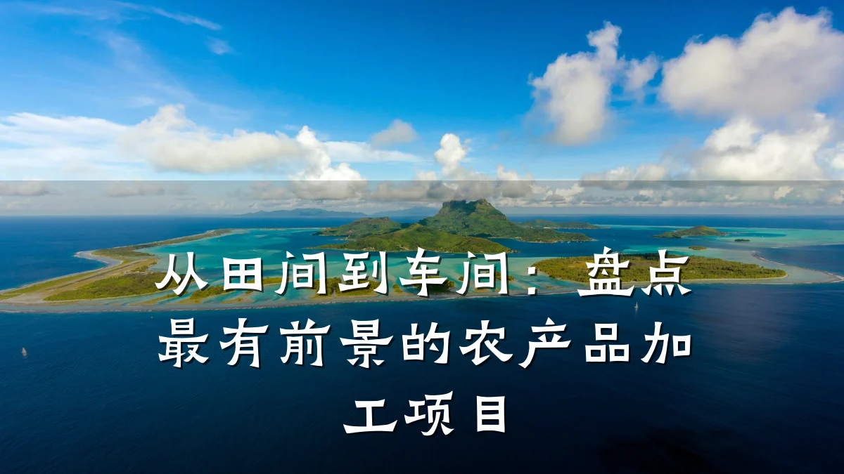 从田间到车间:盘点最有前景的农产品加工项目