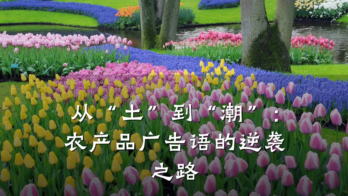 从“土”到“潮”:农产品广告语的逆袭之路