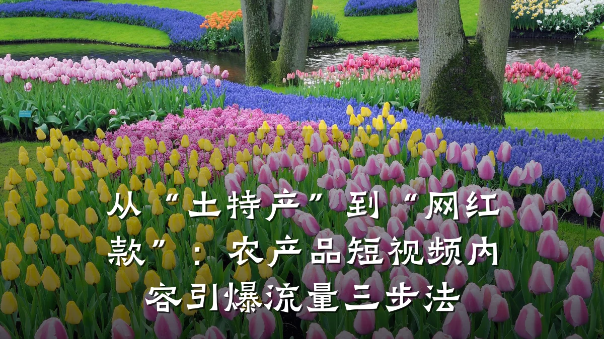 从“土特产”到“网红款”:农产品短视频内容引爆流量三步法