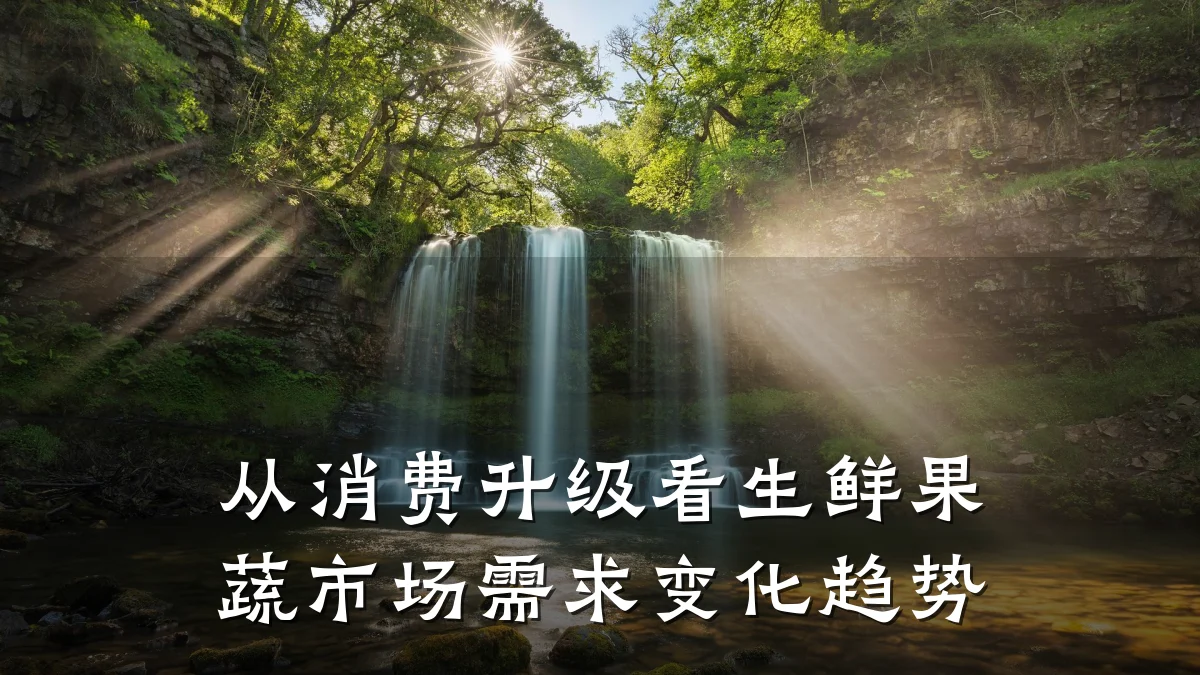 从消费升级看生鲜果蔬市场需求变化趋势