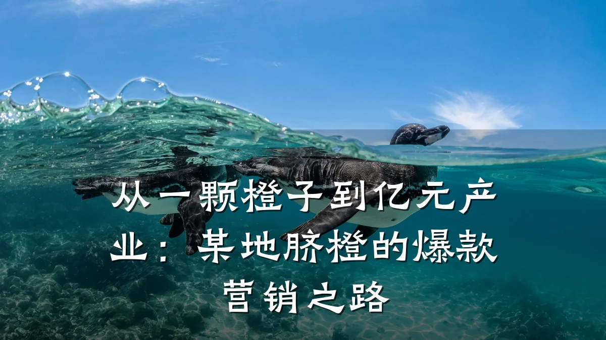 从一颗橙子到亿元产业:某地脐橙的爆款营销之路