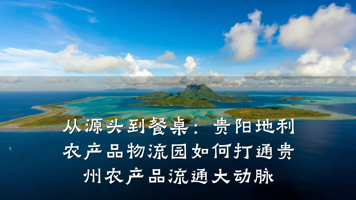 从源头到餐桌:贵阳地利农产品物流园如何打通贵州农产品流通大动脉
