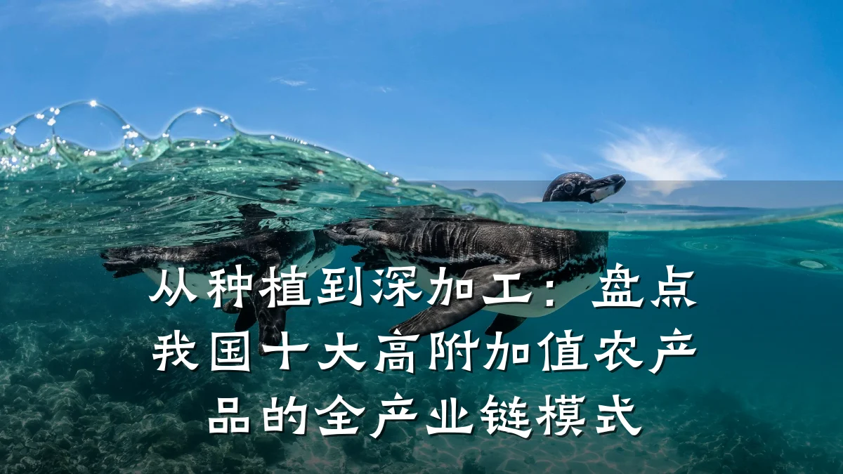 从种植到深加工:盘点我国十大高附加值农产品的全产业链模式
