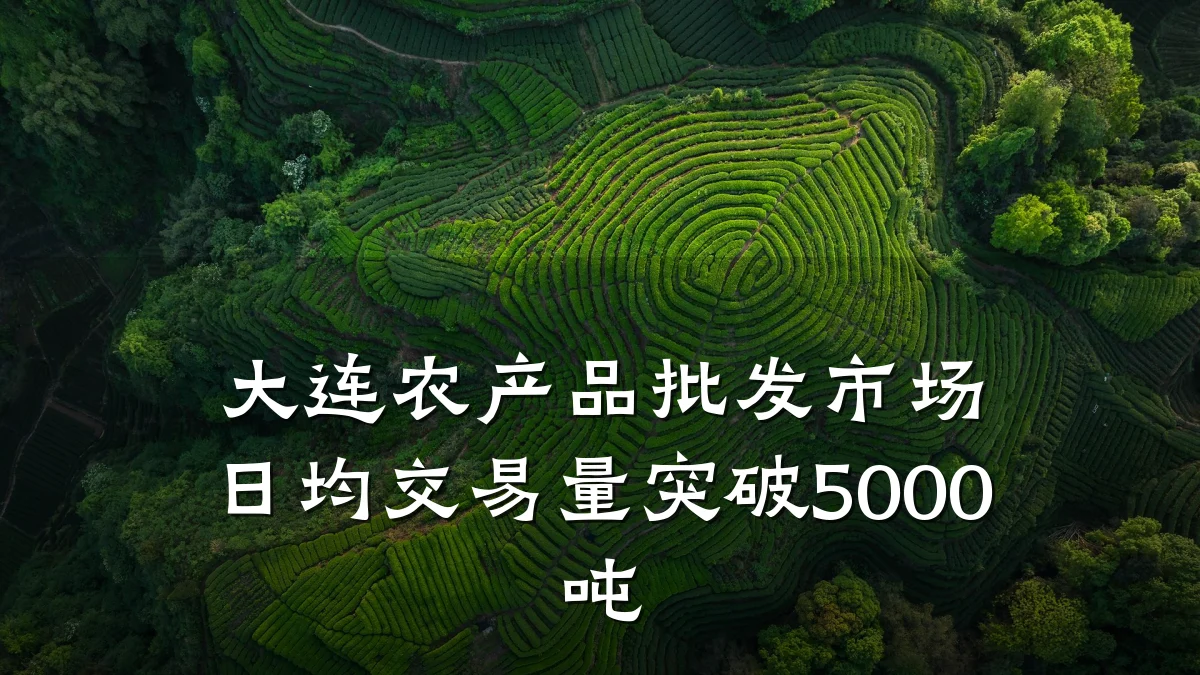 大连农产品批发市场日均交易量突破5000吨