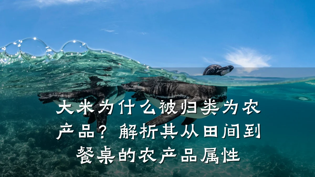 大米为什么被归类为农产品？解析其从田间到餐桌的农产品属性