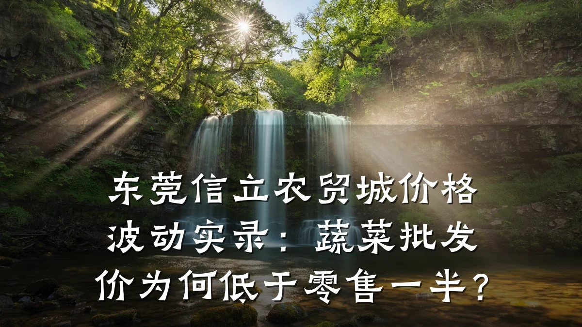 东莞信立农贸城价格波动实录:蔬菜批发价为何低于零售一半?