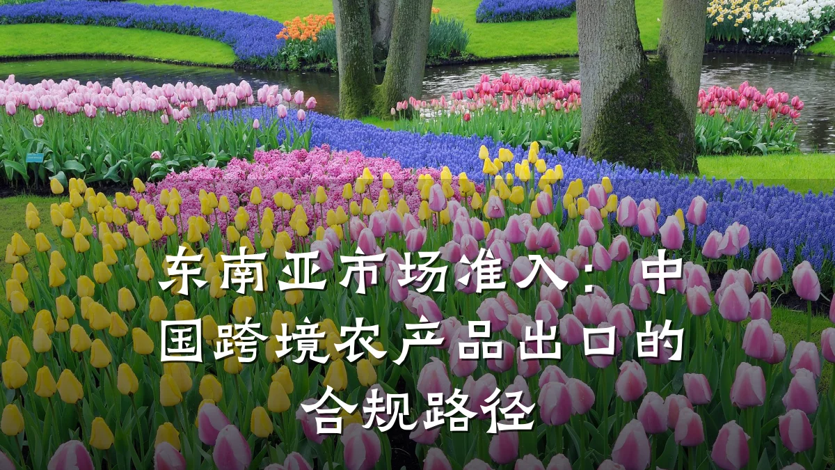 东南亚市场准入:中国跨境农产品出口的合规路径