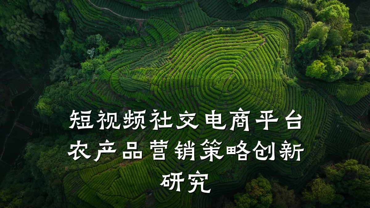 短视频社交电商平台农产品营销策略创新研究