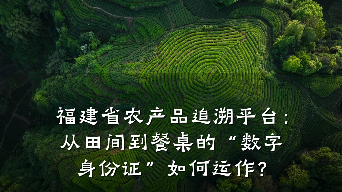 福建省农产品追溯平台:从田间到餐桌的“数字身份证”如何运作?