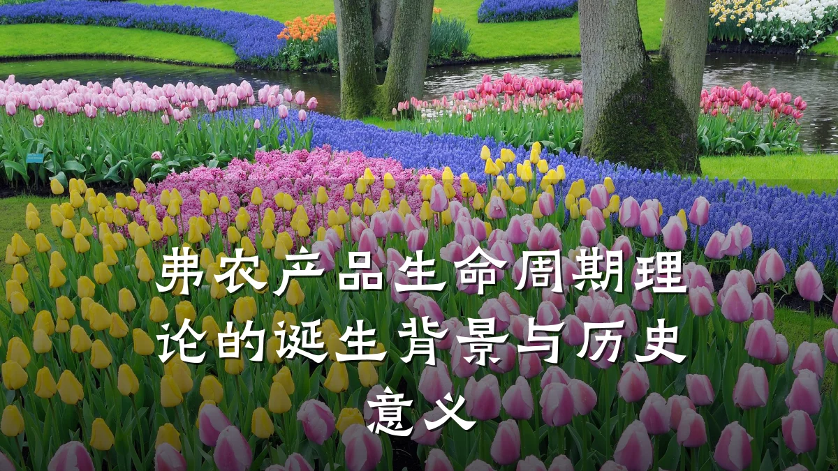 弗农产品生命周期理论的诞生背景与历史意义