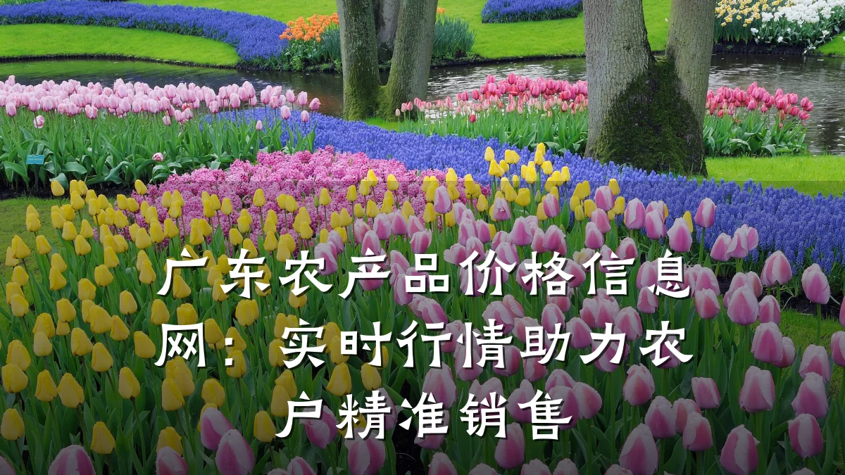 广东农产品价格信息网：实时行情助力农户精准销售
