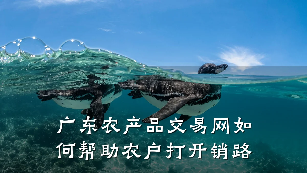 广东农产品交易网如何帮助农户打开销路