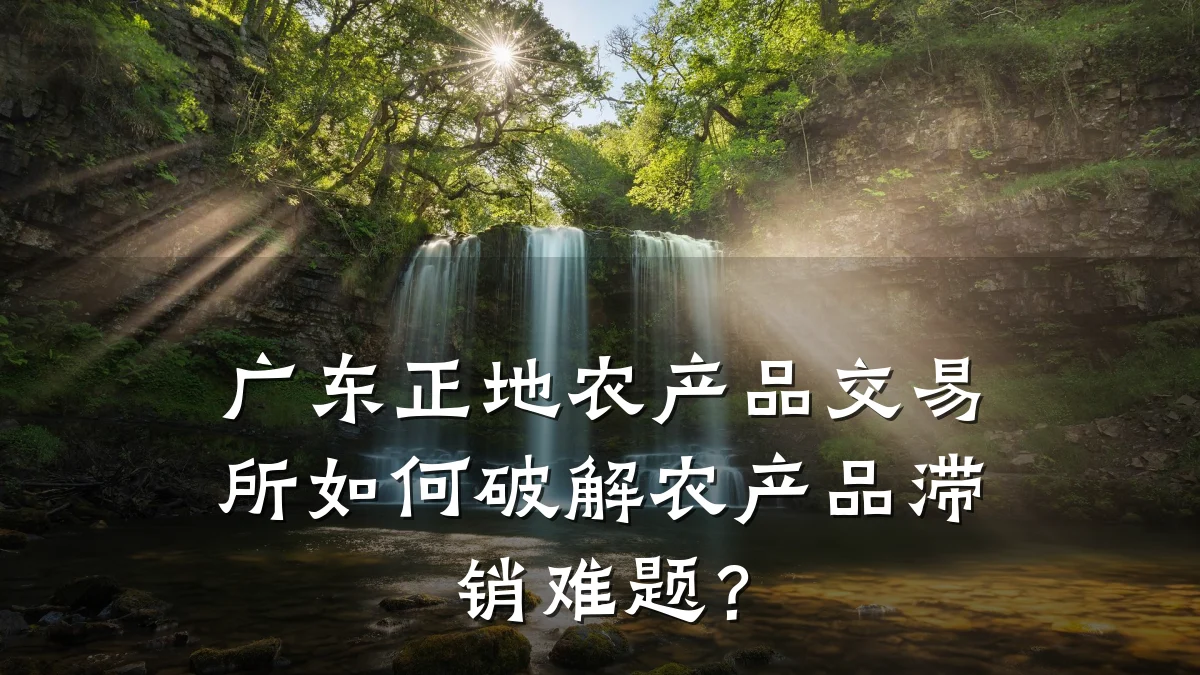 广东正地农产品交易所如何破解农产品滞销难题？