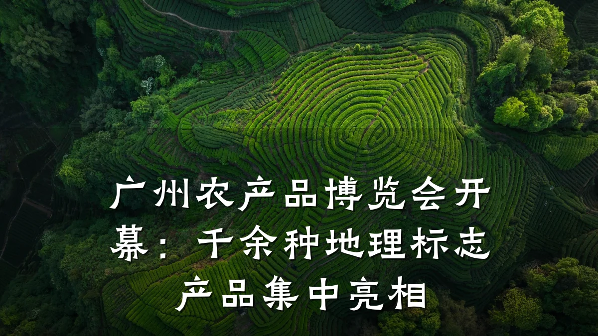 广州农产品博览会开幕:千余种地理标志产品集中亮相