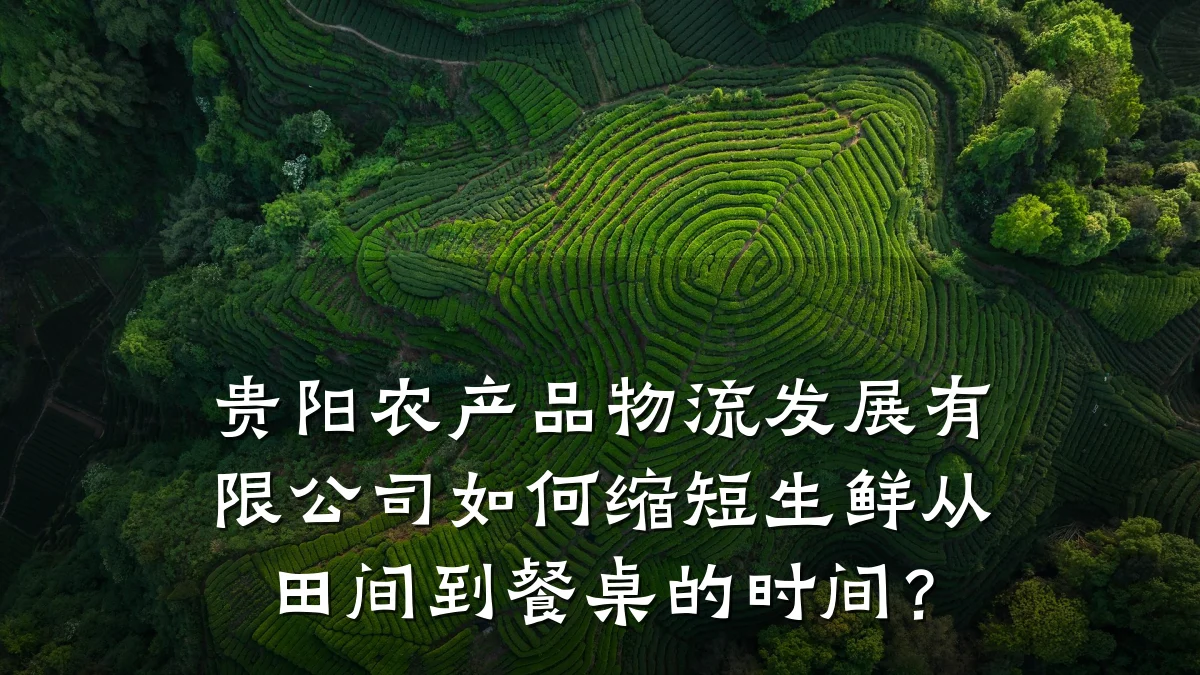 贵阳农产品物流发展有限公司如何缩短生鲜从田间到餐桌的时间?