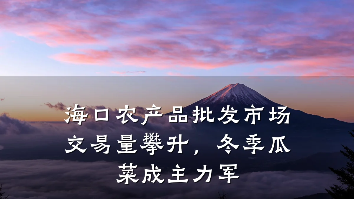 海口农产品批发市场交易量攀升,冬季瓜菜成主力军