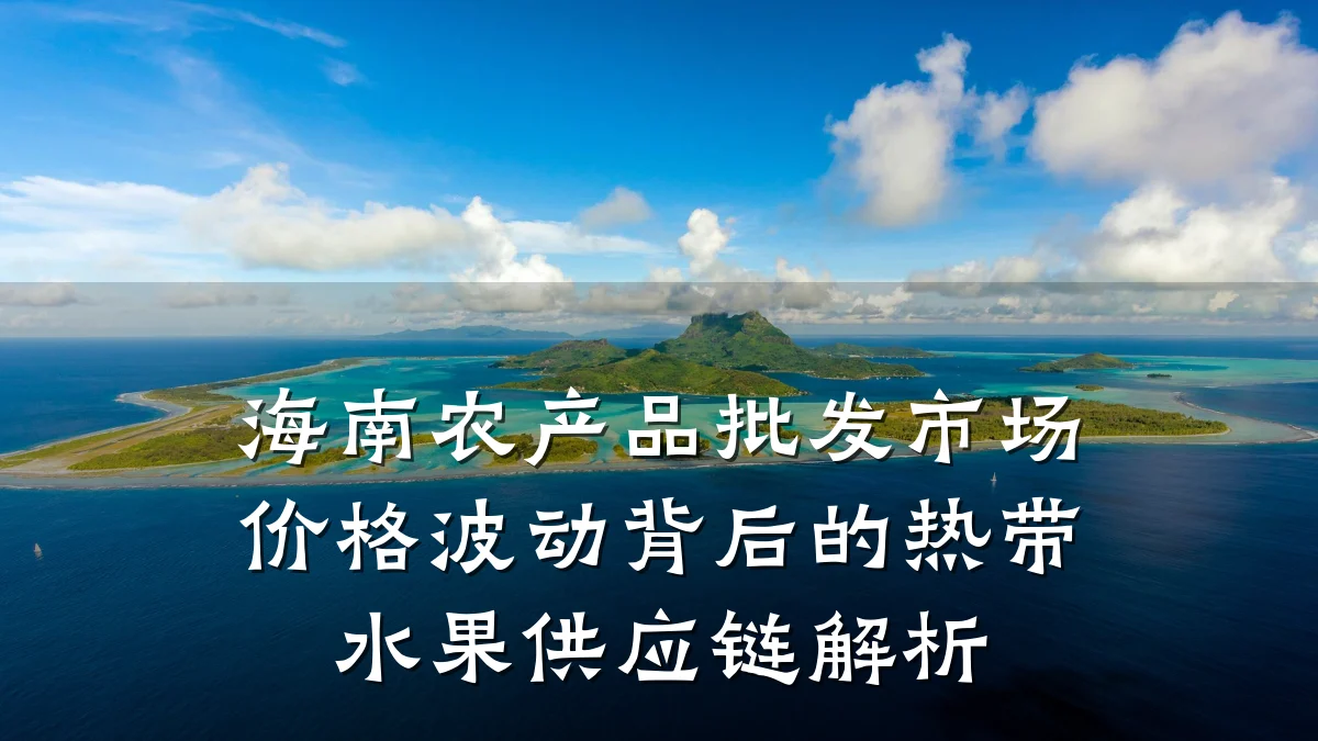 海南农产品批发市场价格波动背后的热带水果供应链解析