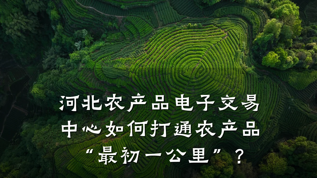 河北农产品电子交易中心如何打通农产品“最初一公里”？