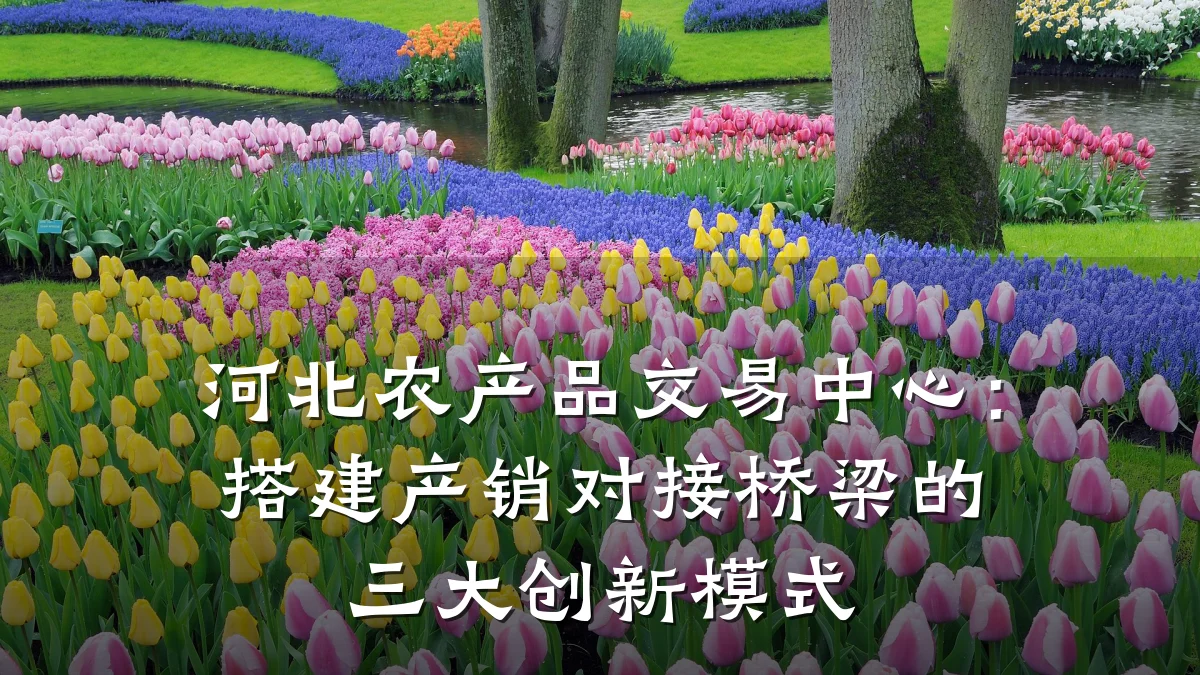 河北农产品交易中心:搭建产销对接桥梁的三大创新模式