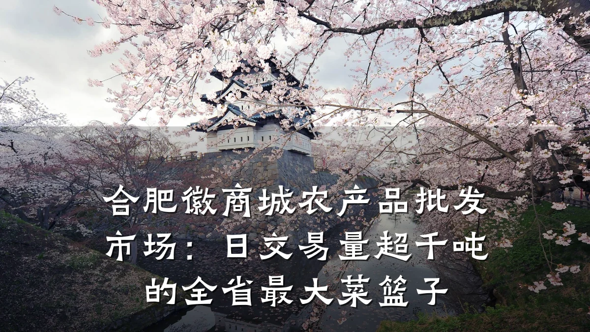 合肥徽商城农产品批发市场:日交易量超千吨的全省最大菜篮子