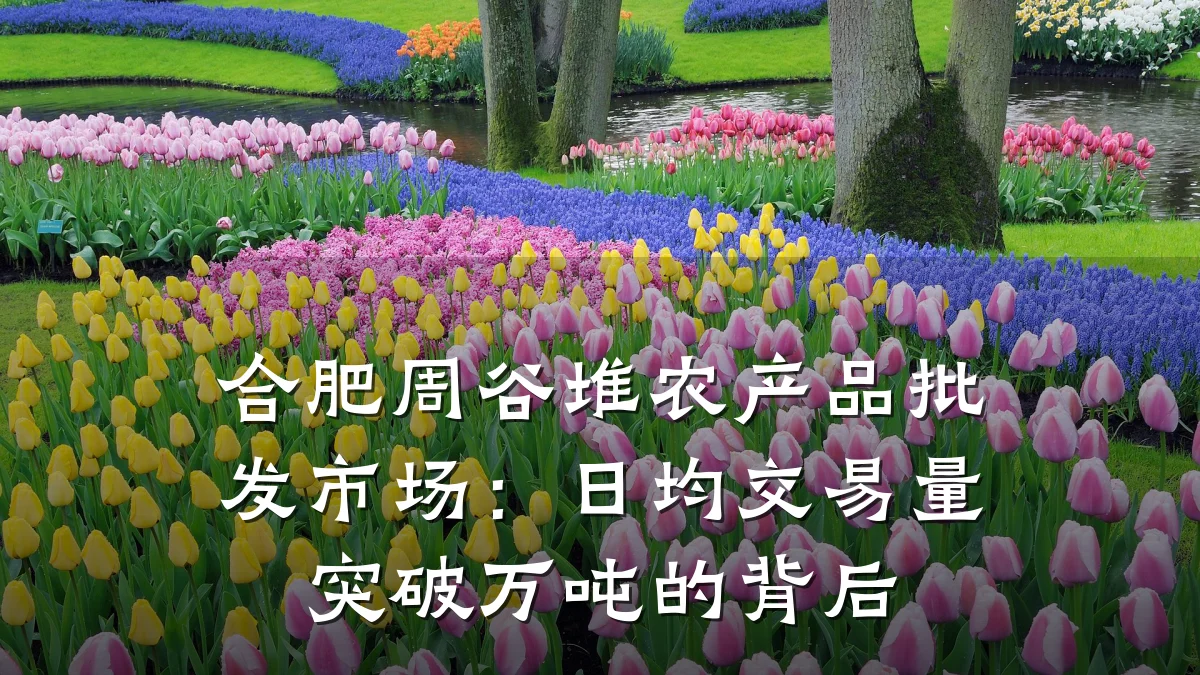 合肥周谷堆农产品批发市场:日均交易量突破万吨的背后