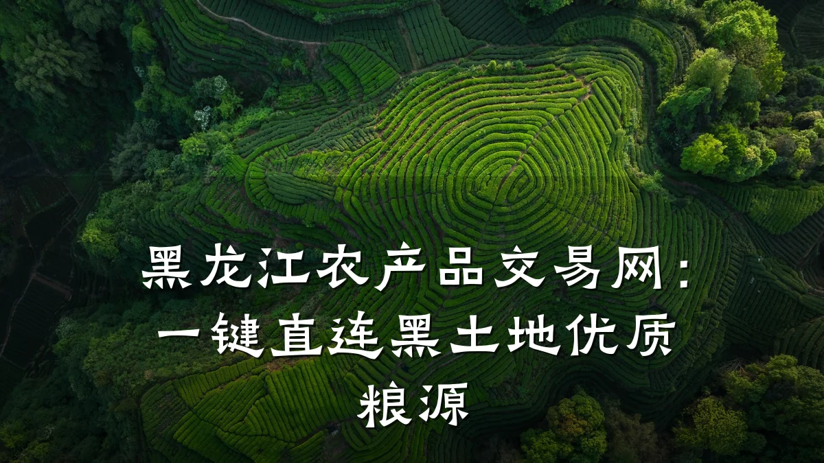 黑龙江农产品交易网:一键直连黑土地优质粮源