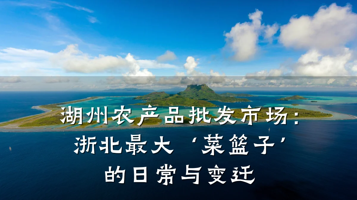 湖州农产品批发市场:浙北最大‘菜篮子’的日常与变迁