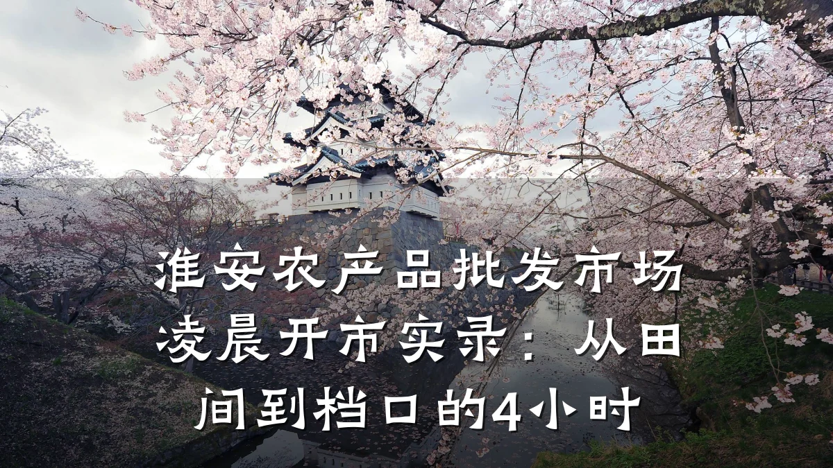 淮安农产品批发市场凌晨开市实录：从田间到档口的4小时