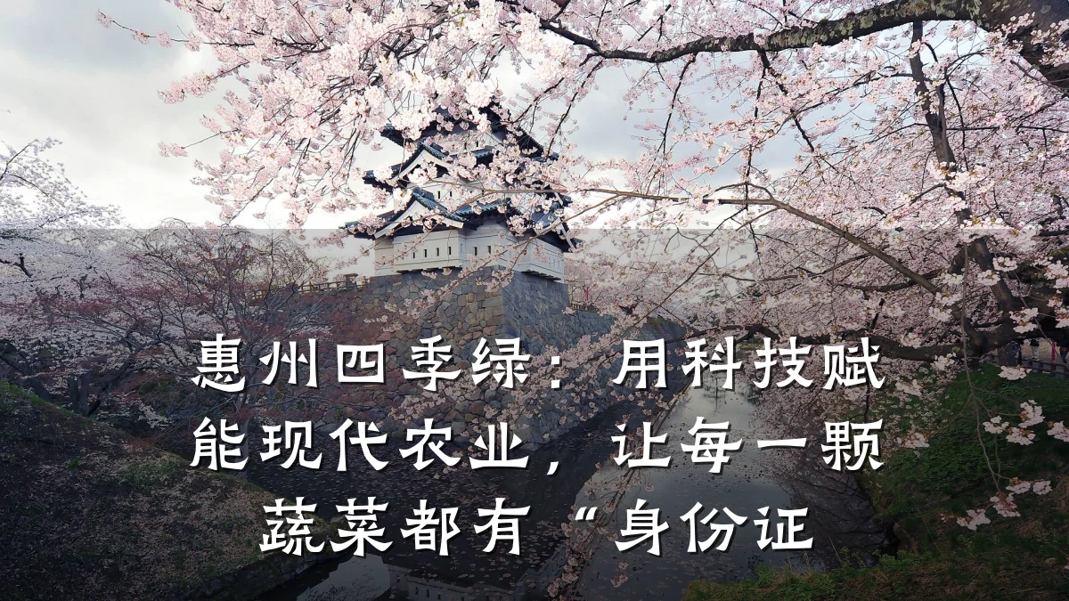 惠州四季绿：用科技赋能现代农业，让每一颗蔬菜都有“身份证
