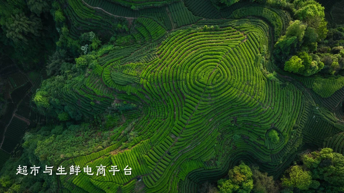 超市与生鲜电商平台