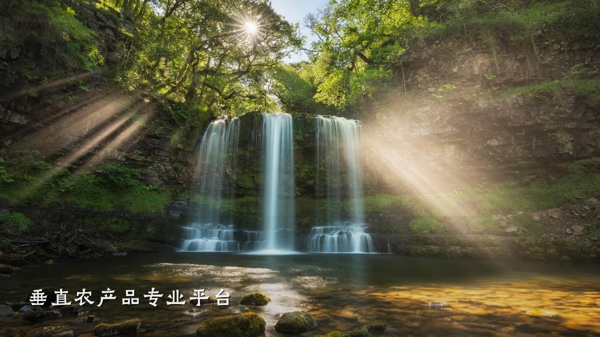 垂直农产品专业平台
