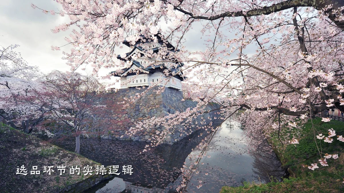 选品环节的实操逻辑