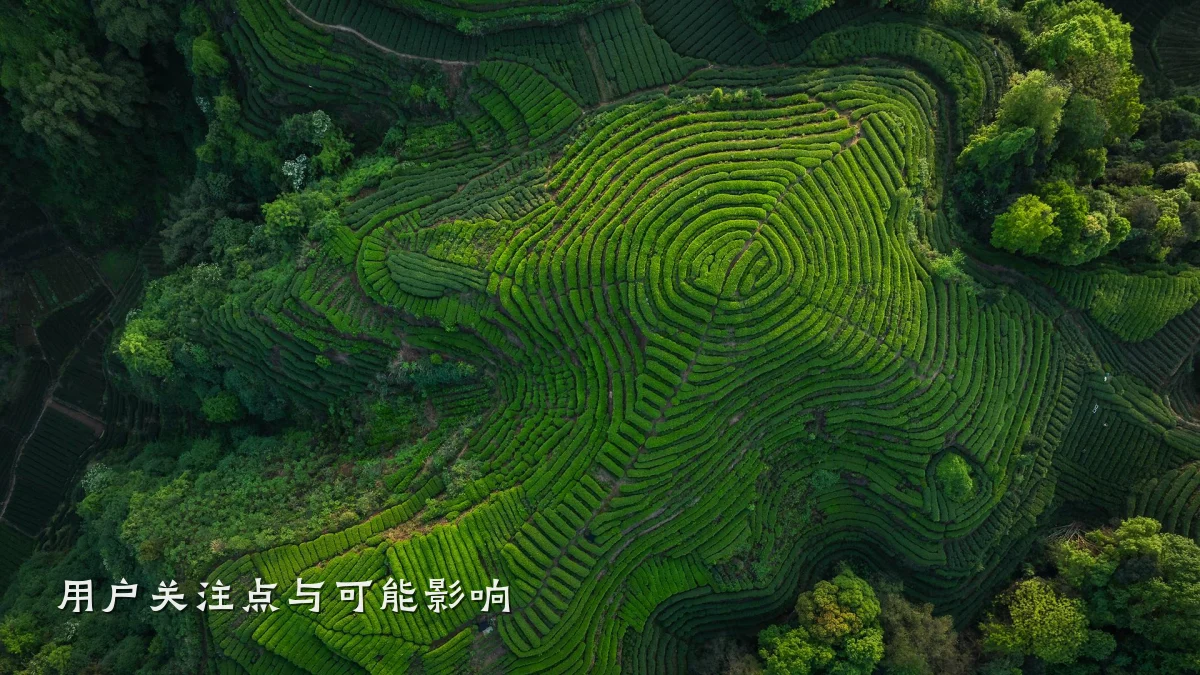用户关注点与可能影响