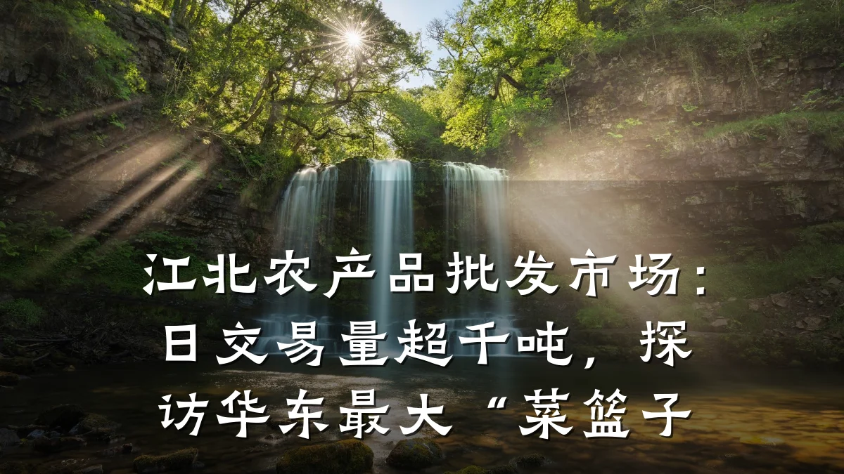 江北农产品批发市场:日交易量超千吨,探访华东最大“菜篮子