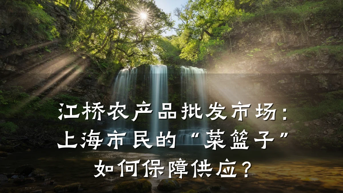 江桥农产品批发市场:上海市民的“菜篮子”如何保障供应?