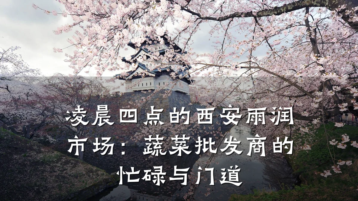 凌晨四点的西安雨润市场:蔬菜批发商的忙碌与门道