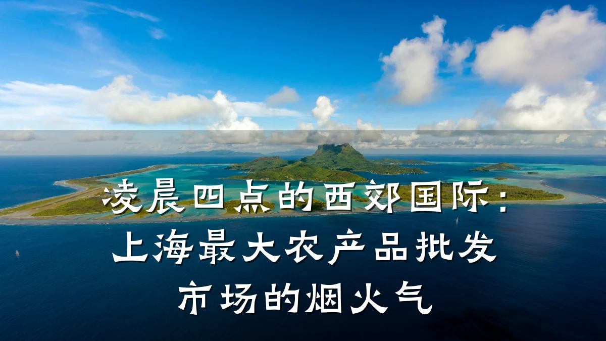 凌晨四点的西郊国际:上海最大农产品批发市场的烟火气