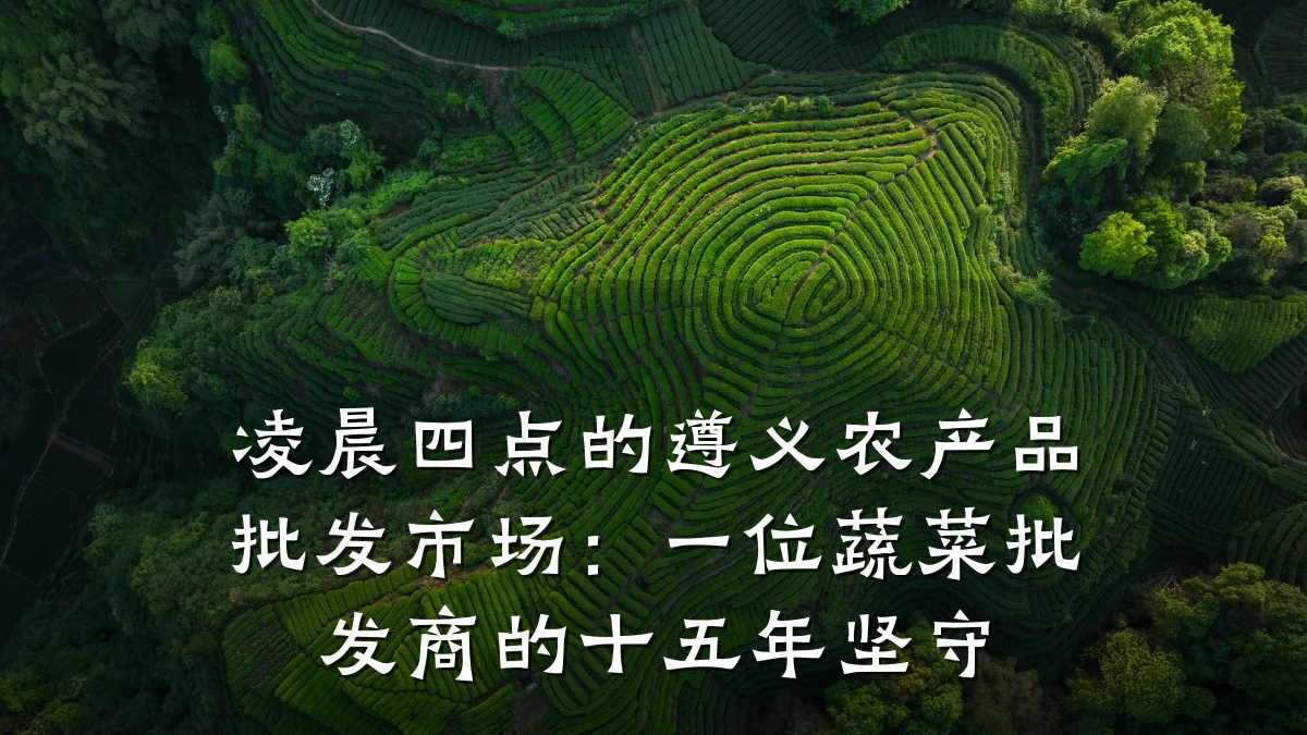 凌晨四点的遵义农产品批发市场：一位蔬菜批发商的十五年坚守