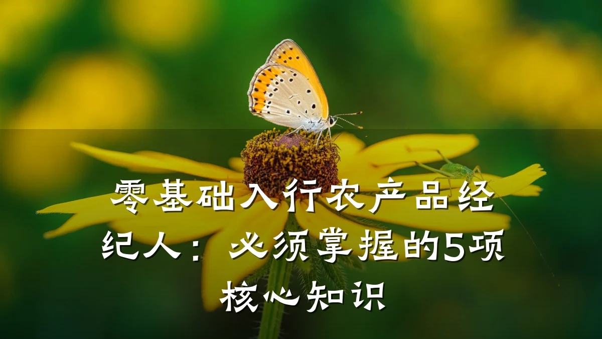 零基础入行农产品经纪人:必须掌握的5项核心知识